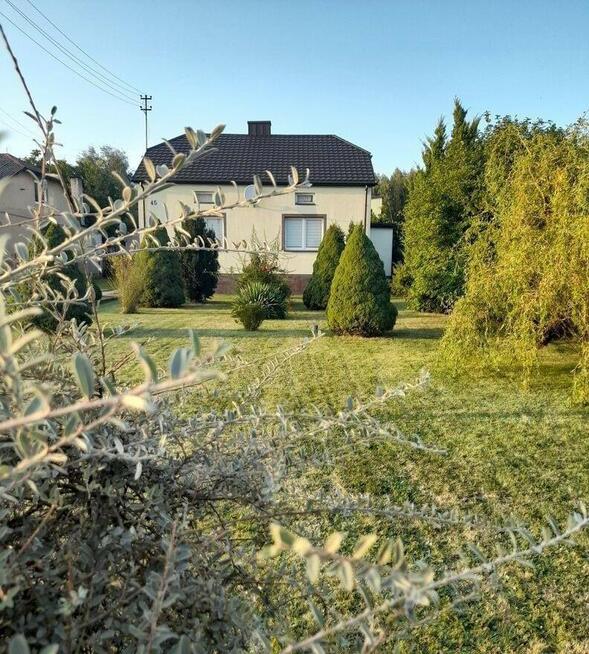DOM na wsi na 0,54 ha działce, Sędziejowice, powiat łaski