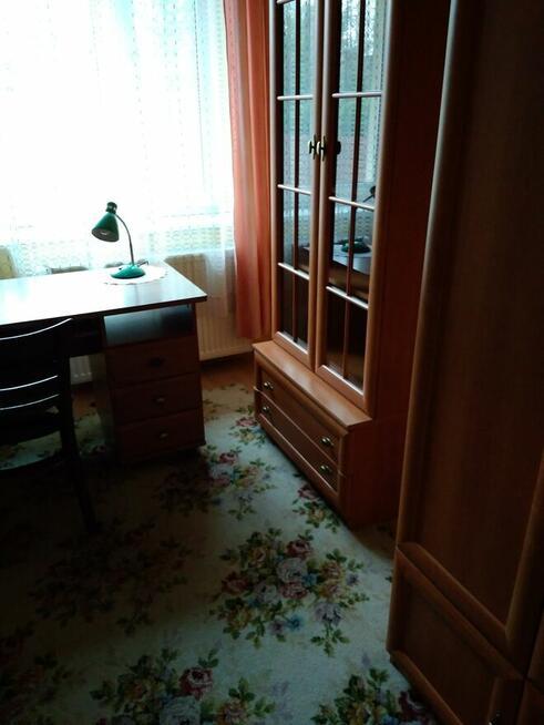 pokój dla spokojnej studentki w Śródmieściu