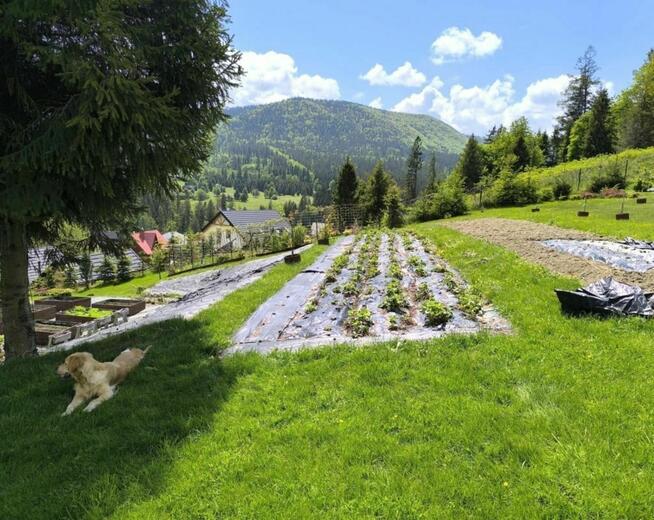 DZIAŁKA BUDOWLANA SIEDLISKOWA SOBLÓWKA U PODNÓŻA RYCERZOWEJ