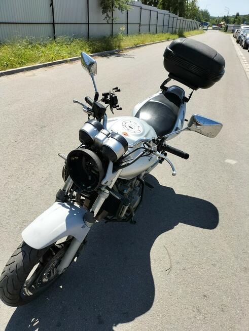 Honda Hornet