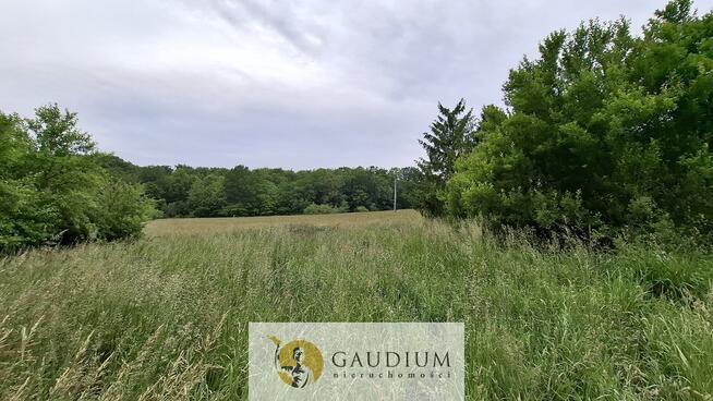 Działka 1200 m2 Buszkowy