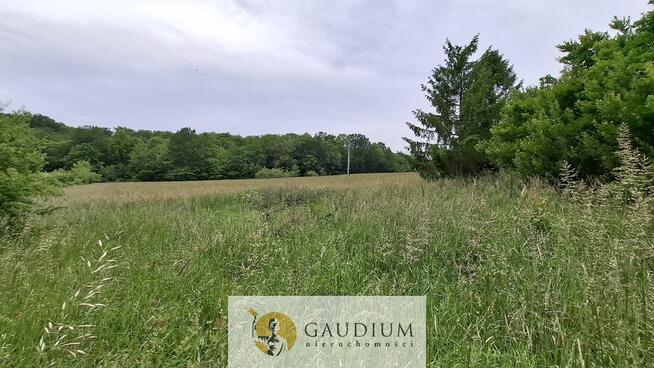 Działka 1200 m2 Buszkowy