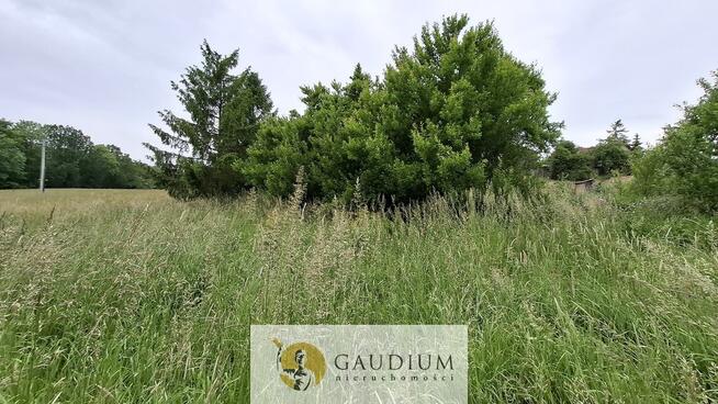 Działka 1200 m2 Buszkowy