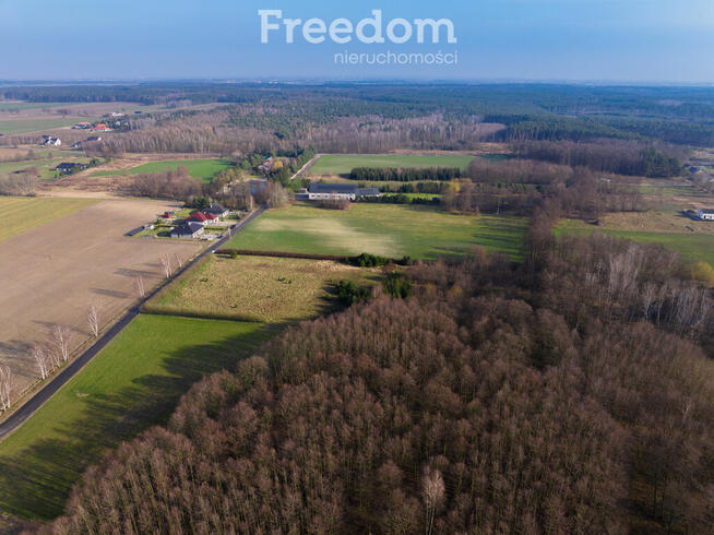 Działka budowlana w Czmoniu k. Kórnika do 8 domów