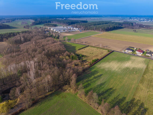 Działka inwestycyjna w Czmoniu k. Kórnika-8 domów