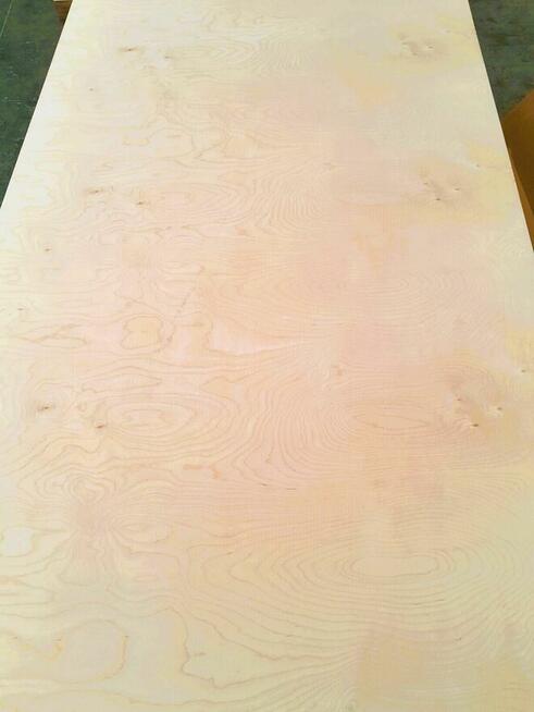 Sklejka Brzozowa Wodoodporna