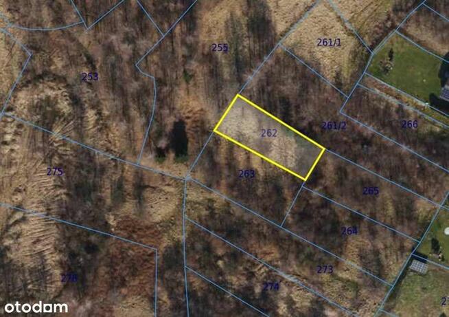 Syndyk sprzeda nieruchomość