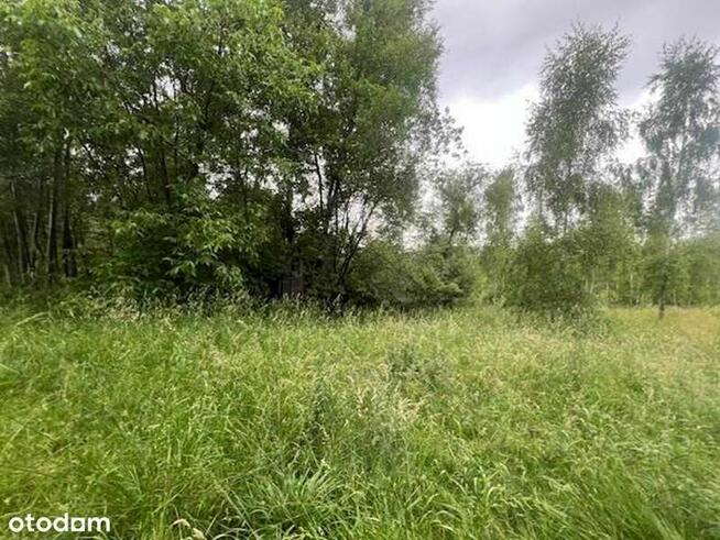 Syndyk sprzeda nieruchomość