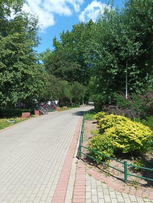 Ciche mieszkanie Wilanów