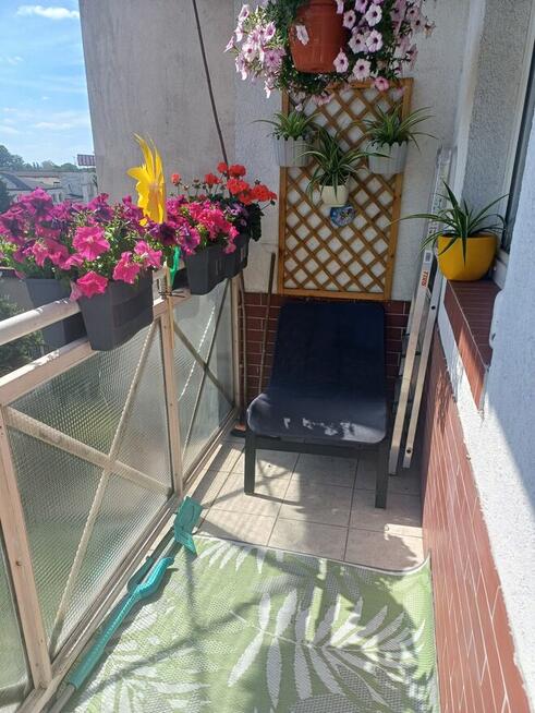 Apartament Przestronny Dwupoziomowy Dobra Cena