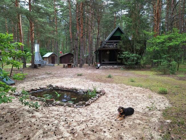 Wilga - klimatyczny domek z 2 tarasami na weekendy, wakacje