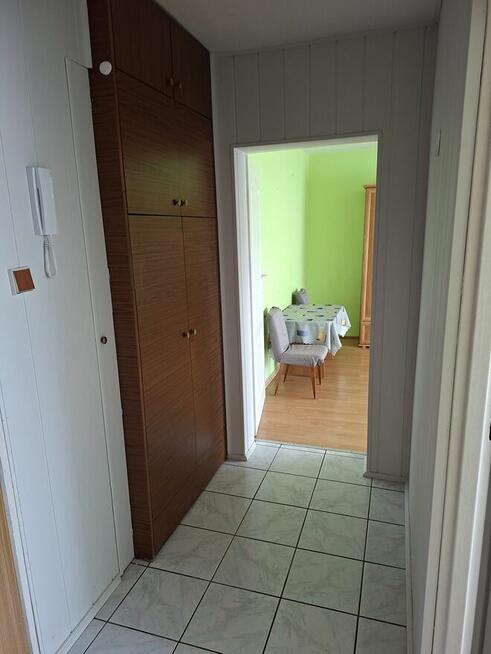 Wynajmę mieszkanie 38m2 Nidzica Kościuszki 5b