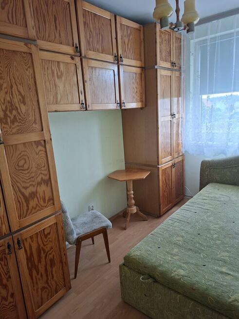 Wynajmę mieszkanie 38m2 Nidzica Kościuszki 5b