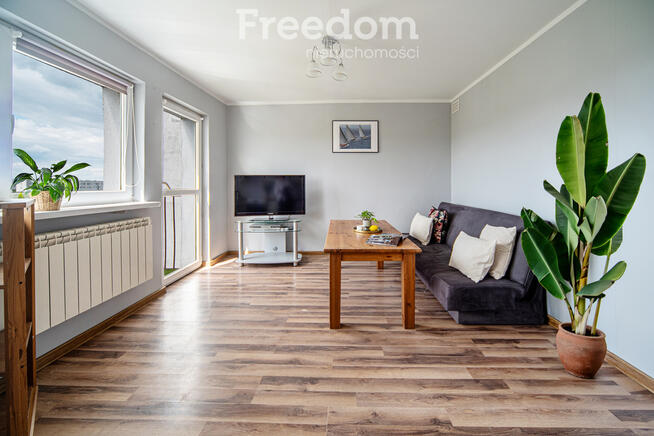 46 m² | 3 pokoje | 10 piętro | Zielone Bielany