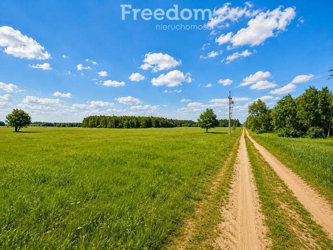 Działki 1100 m² w lesie brzozowym gm Dobre