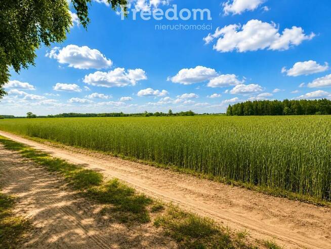 Działki 1100 m² w lesie brzozowym gm Dobre