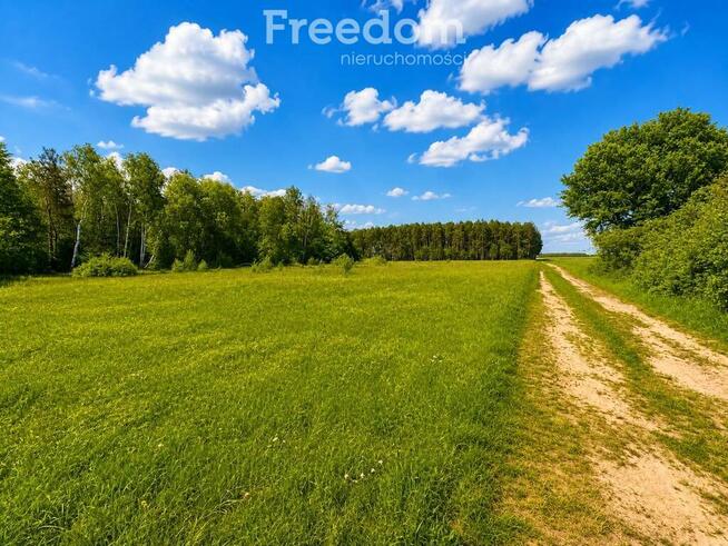 Działki 1100 m² w lesie brzozowym gm Dobre