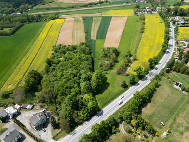 Działka inwestycyjna, usługowa 7426m2 Opatów