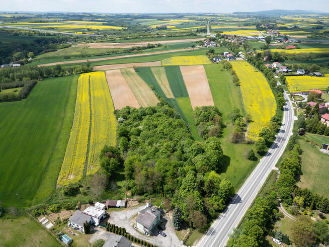 Działka inwestycyjna, usługowa 7426m2 Opatów