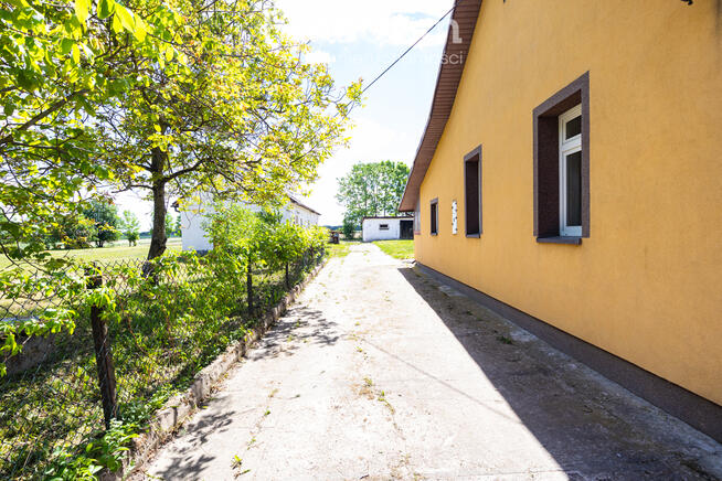 Dom , budynki gospodarcze, działka 4200m2