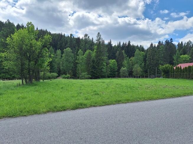 Targoszów | działka 2350 m2 | spokój | las | góry