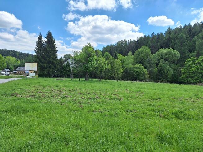 Targoszów | działka 2350 m2 | spokój | las | góry