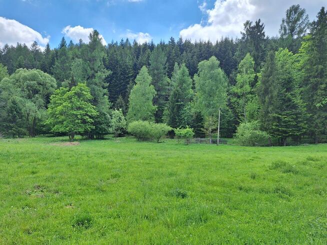 Targoszów | działka 2350 m2 | spokój | las | góry