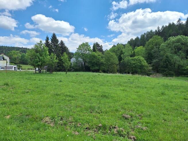 Targoszów | działka 2350 m2 | spokój | las | góry