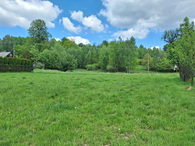 Targoszów | działka 2350 m2 | spokój | las | góry