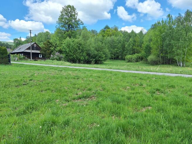 Targoszów | działka 2350 m2 | spokój | las | góry
