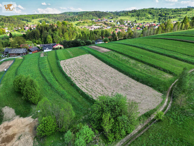 Działka rolna Toporzysko gm. Jordanów