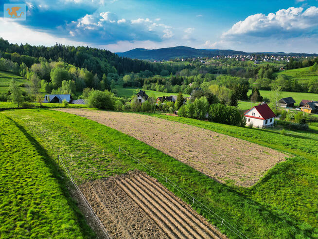 Działka rolna Toporzysko gm. Jordanów