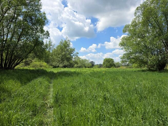 Działka rolna Lubaszowa gm. Tuchów