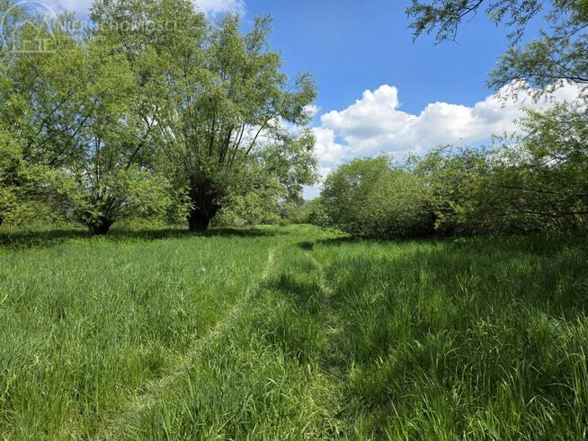 Działka rolna Lubaszowa gm. Tuchów