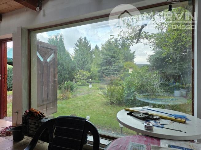 Piękny ROD (300m2) z Domkiem (26m2/5m wys.) !!!