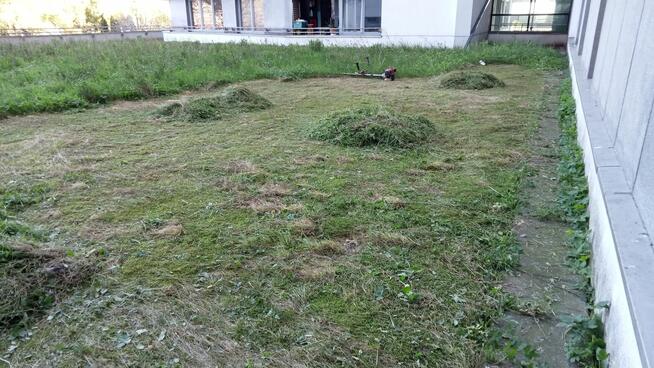 Wykonam różne prace ogrodniczą porządkowe