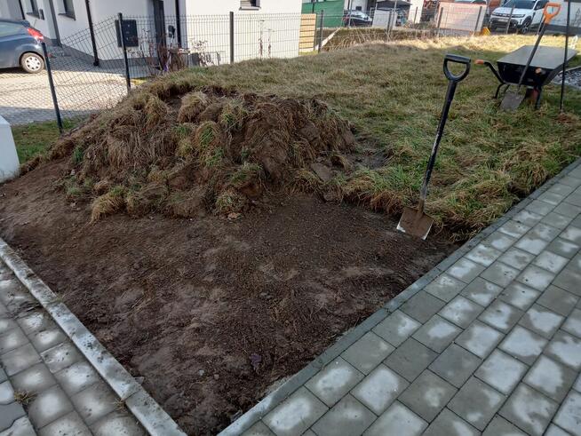 Wykonam różne prace ogrodniczą porządkowe