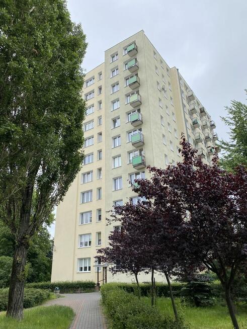 Warszawa- Marysin, 2 pokoje Potockich 110, pies, kot OK