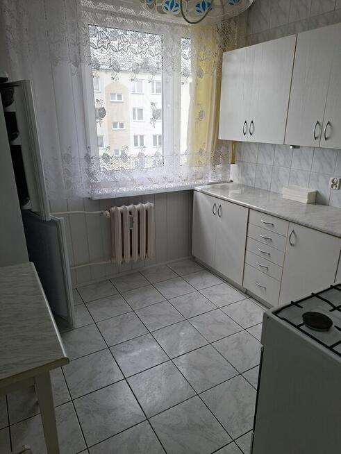 Wynajmę mieszkanie 38m2 Nidzica Kościuszki 5b