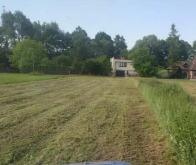 Mulczowanie trawy nieużytków Ryki Dęblin