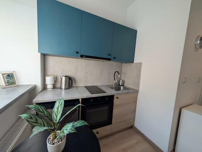Wróblewskiego 54 - studio, pet friendly