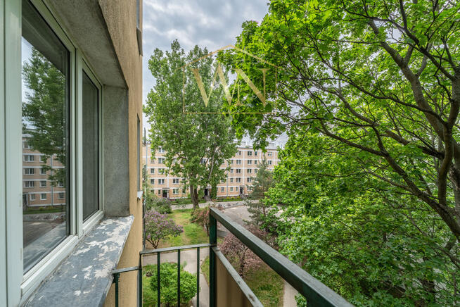 Komfortowe 3 pokoje w zielonej dzielnicy