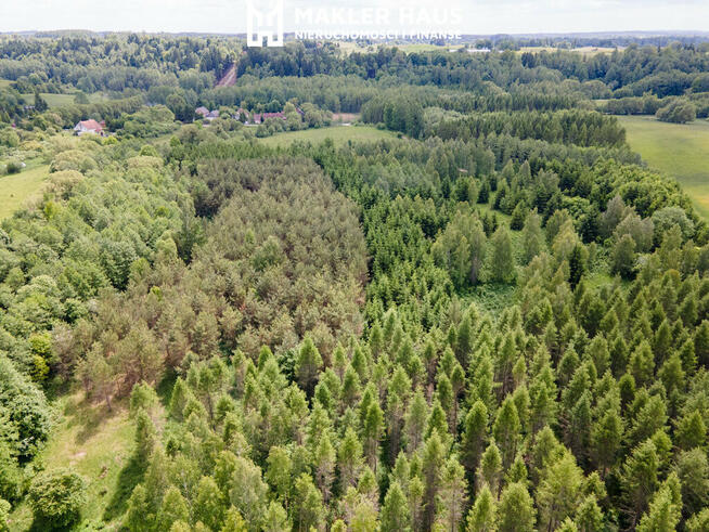 Grunty leśne i rolne 17 ha z miejscem na siedlisko