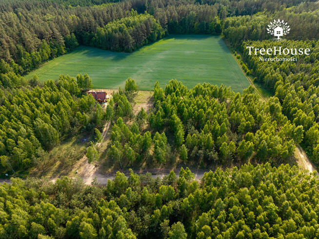Mazury 3588m2 z pozwoleniem, las jezioro siedlisko