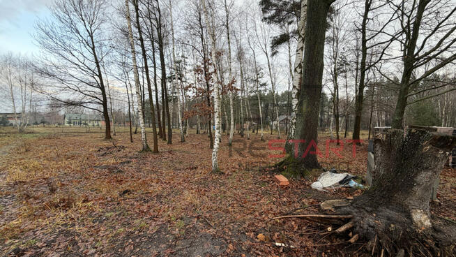 Dom Korytów gm. Radziejowice,