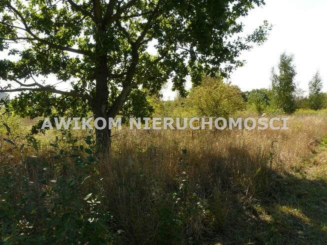 Działka inwestycyjna Skierniewice