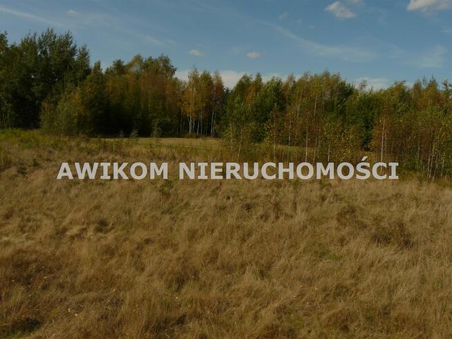 Działka inwestycyjna Skierniewice