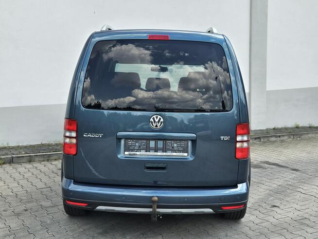 CADDY CROSS I Właściciel Opłacony