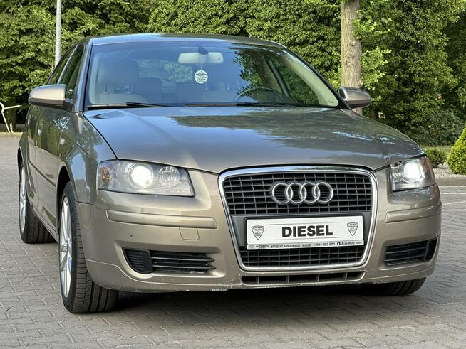 Audi A3 Bezwypadkowy 2005r 2.0 TDI BKD 140KM Automat DSG Klimatronic Xenon