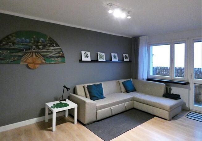 Duża kawalerka, pet friendly, ul. Sacharowa 67